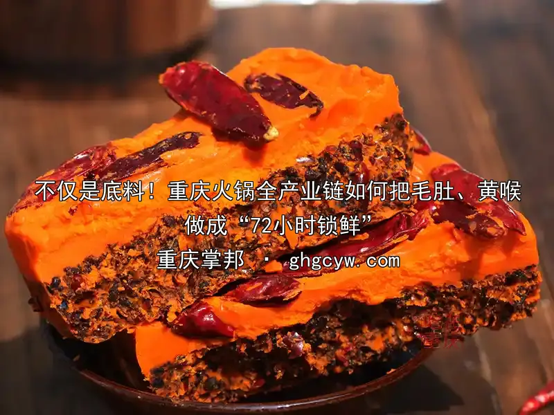 不仅是底料！重庆火锅全产业链如何把毛肚、黄喉做成“72小时锁鲜”